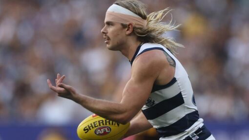 AFL CATS HAWKS