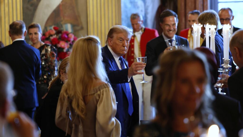 President Donald Trump has toasted fellow leaders but continues to signal doubts about NATO.