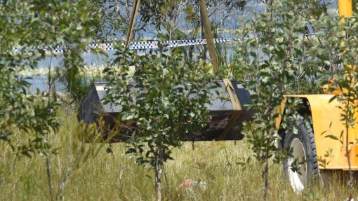 DOUBLE MURDER BODY SEARCH KINGSTON