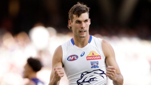 AFL DOCKERS BULLDOGS