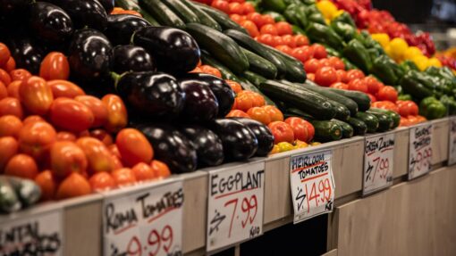 FRESH FOOD STOCK
