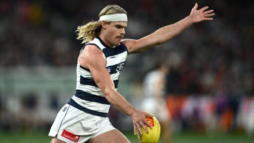 AFL BOMBERS CATS