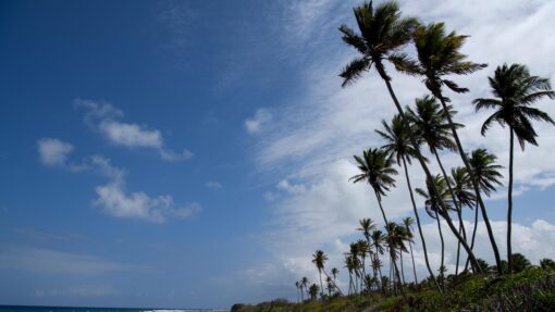 COCOS (KEELING) ISLANDS DAILY LIFE