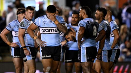 NRL SHARKS WARRIORS