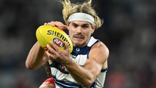 AFL CATS DEMONS