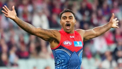 AFL DEMONS SWANS