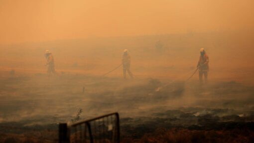 BUSHFIRES ACT