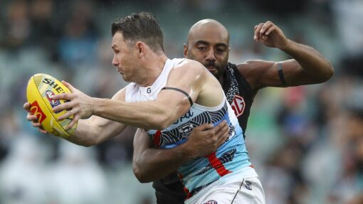 AFL POWER CATS