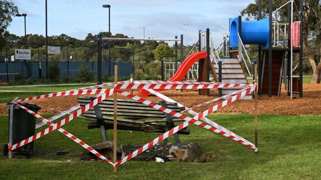 Licensing rules for older drivers are being scrutinised after a fatal crash at a playground.