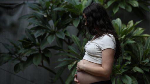 PREGNANCY STOCK
