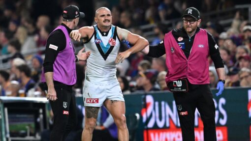 AFL LIONS POWER