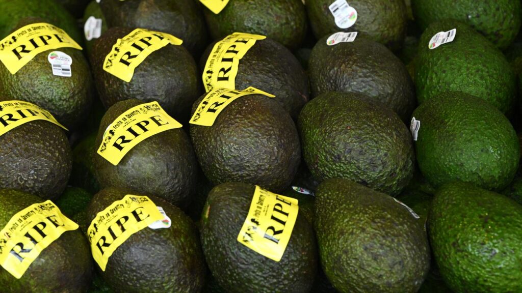 Avocado production in Australia is down about 15 per cent but is expected to soon bounce back.