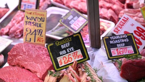 QUEEN VICTORIA MARKET TRADERS