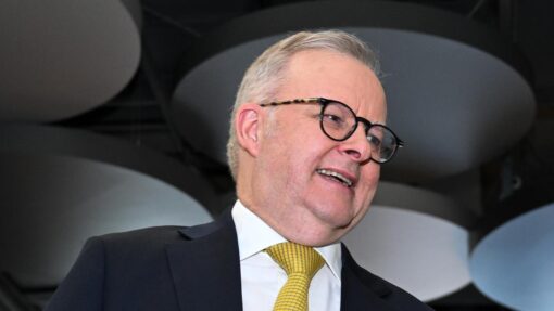 ANTHONY ALBANESE CHINA VISIT
