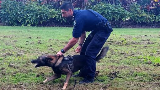 POLICE DOG STRYKER