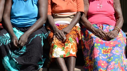 DARWIN ABORIGINAL STOCK