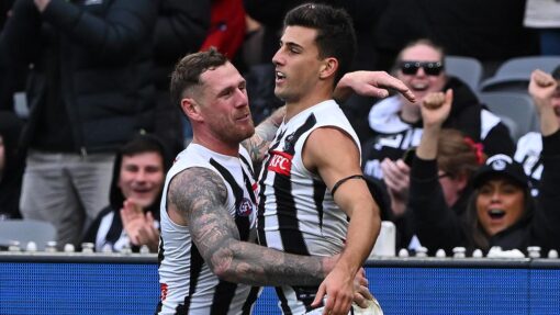 AFL TIGERS MAGPIES