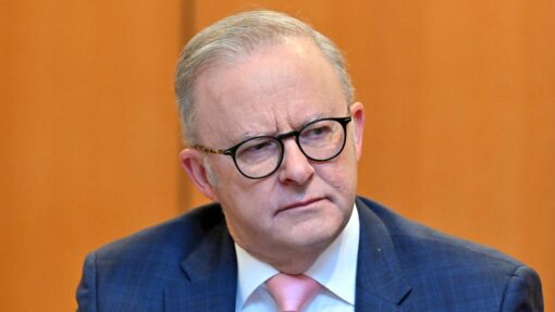 ANTHONY ALBANESE CHEAPER MEDICINES POLICY
