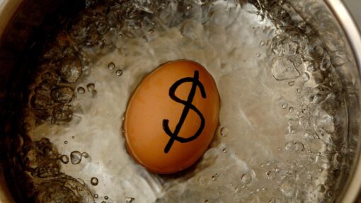 MONEY EGG BOILING STOCK