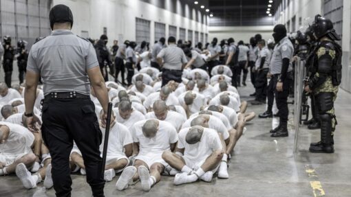 Deportation Battle
