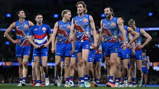 AFL BULLDOGS CROWS