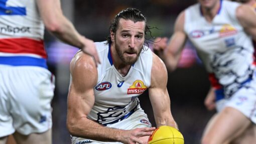 AFL LIONS BULLDOGS