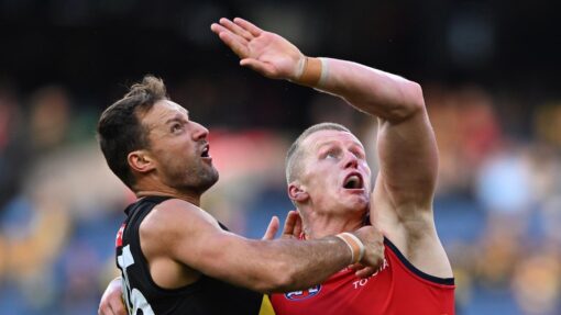 AFL TIGERS CROWS