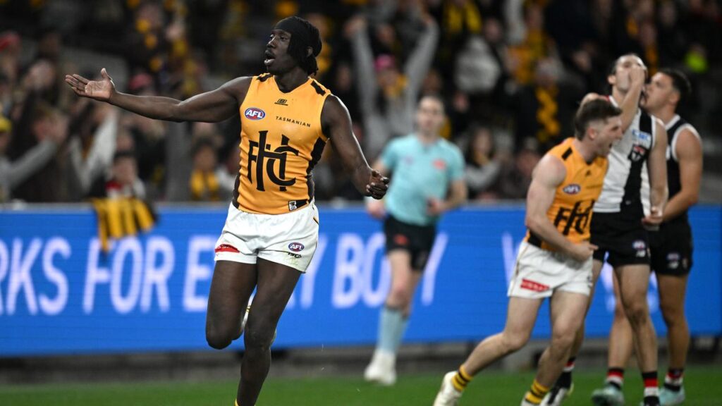Mabior Chol has helped Hawthorn sink St Kilda and move into the top four.