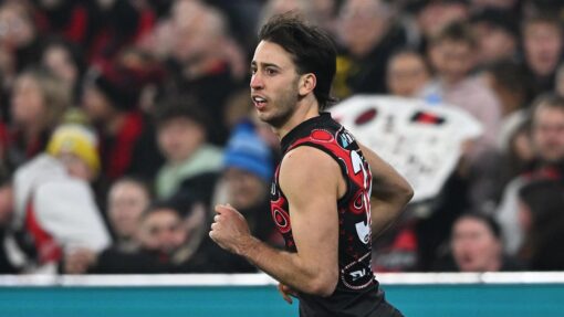AFL BOMBERS TIGERS