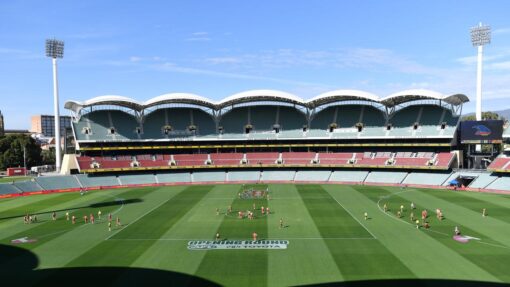 AFL CROWS SWANS