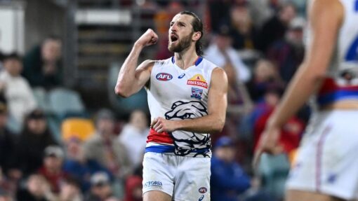 AFL LIONS BULLDOGS