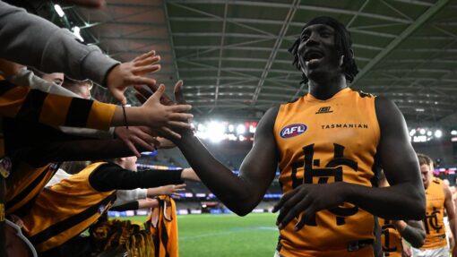 AFL SAINTS HAWKS