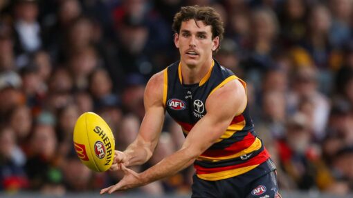 AFL CROWS BULLDOGS
