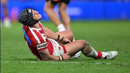 NRL DOLPHINS RABBITOHS