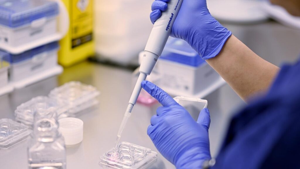 The new IVF procedure prevents the transfer of mutated genes from inside the mother’s mitochondria.