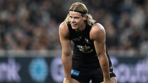 AFL BLUES MAGPIES