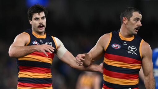 AFL BULLDOGS CROWS