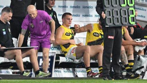 AFL BOMBERS TIGERS