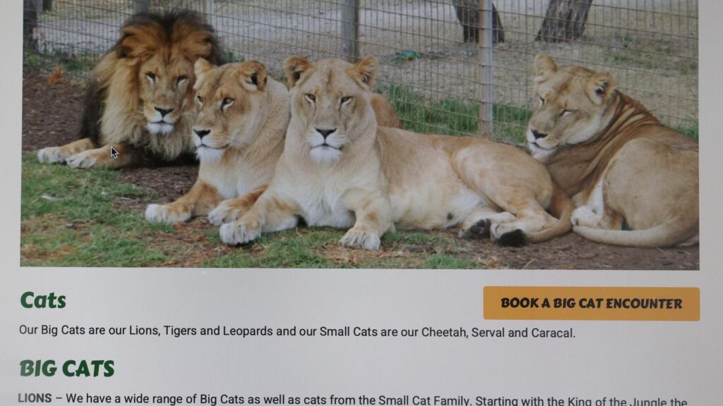 A woman has been bitten on the arm by a lion at the Darling Downs Zoo.