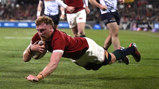 RUGBY BRUMBIES LIONS