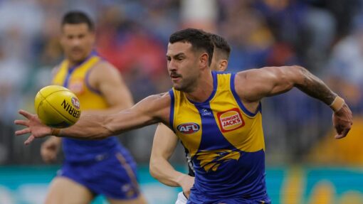 AFL EAGLES BLUES
