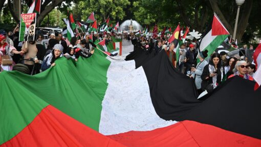 PRO PALESTINE RALLY SYDNEY