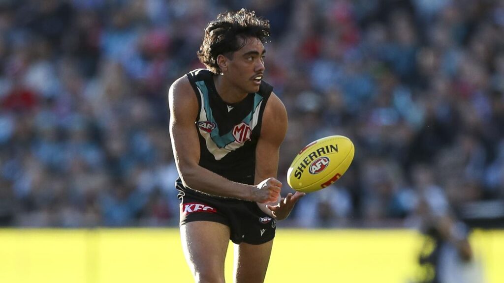 Port Adelaide say it’s up to Jase Burgoyne whether he reports his racism abuse to SA Police.