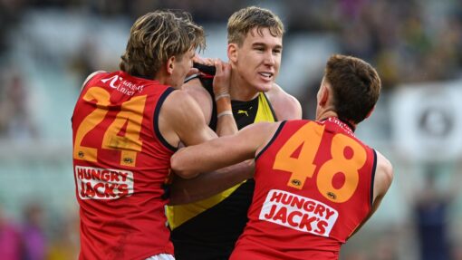 AFL TIGERS CROWS