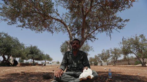 Syria Clashes