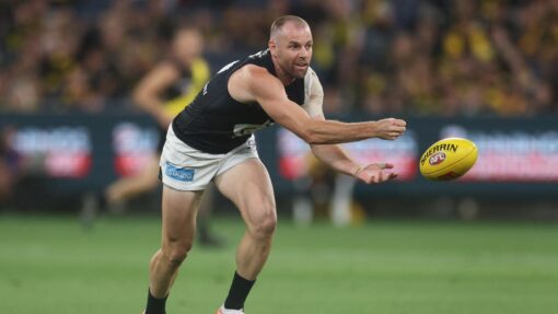 AFL TIGERS BLUES
