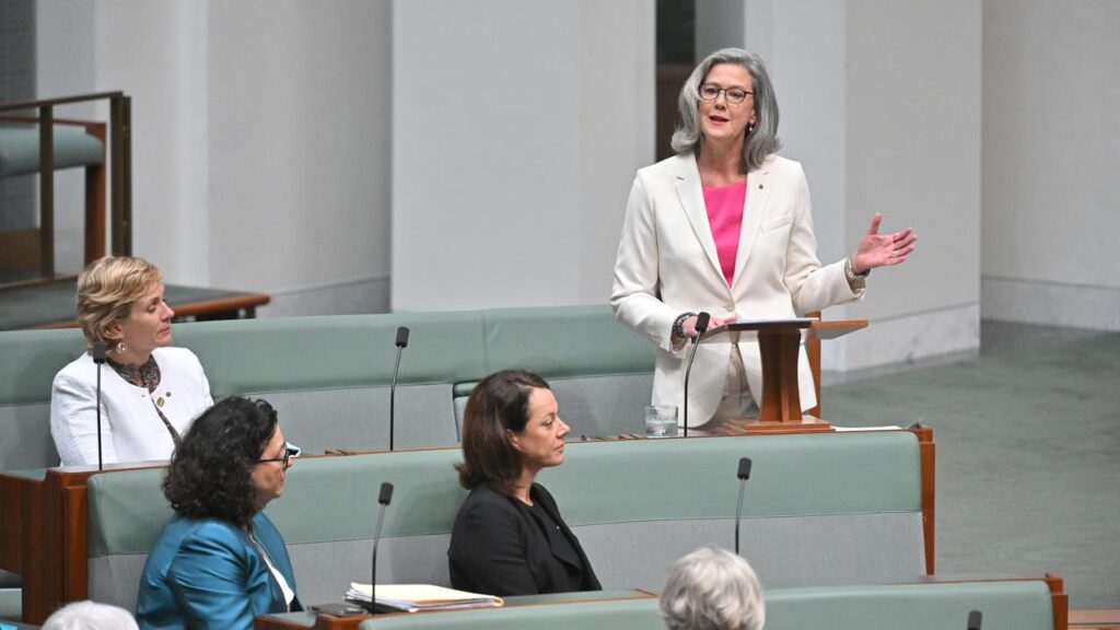 Independent Member for Bradfield Nicolette Boele called for big reforms in her maiden speech.