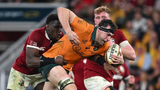 RUGBY WALLABIES LIONS