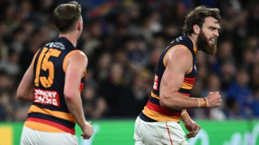 AFL BULLDOGS CROWS