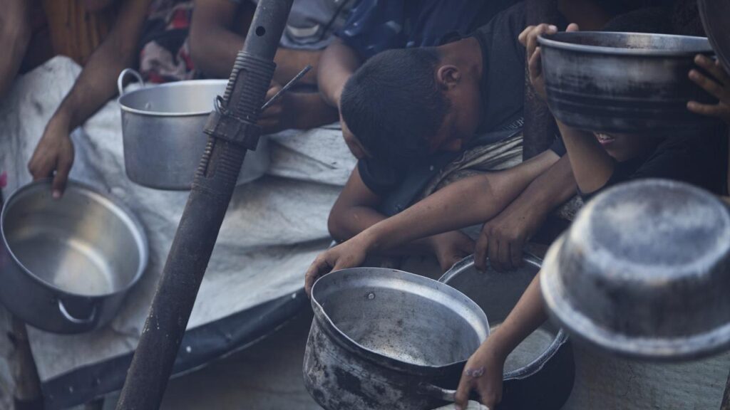 Acute malnutrition is surging among Gaza’s two million people, particularly children, the WHO says.
